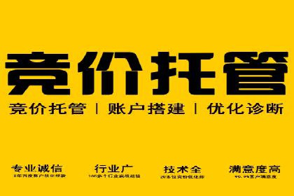 专业网站SEM托管服务案例展示